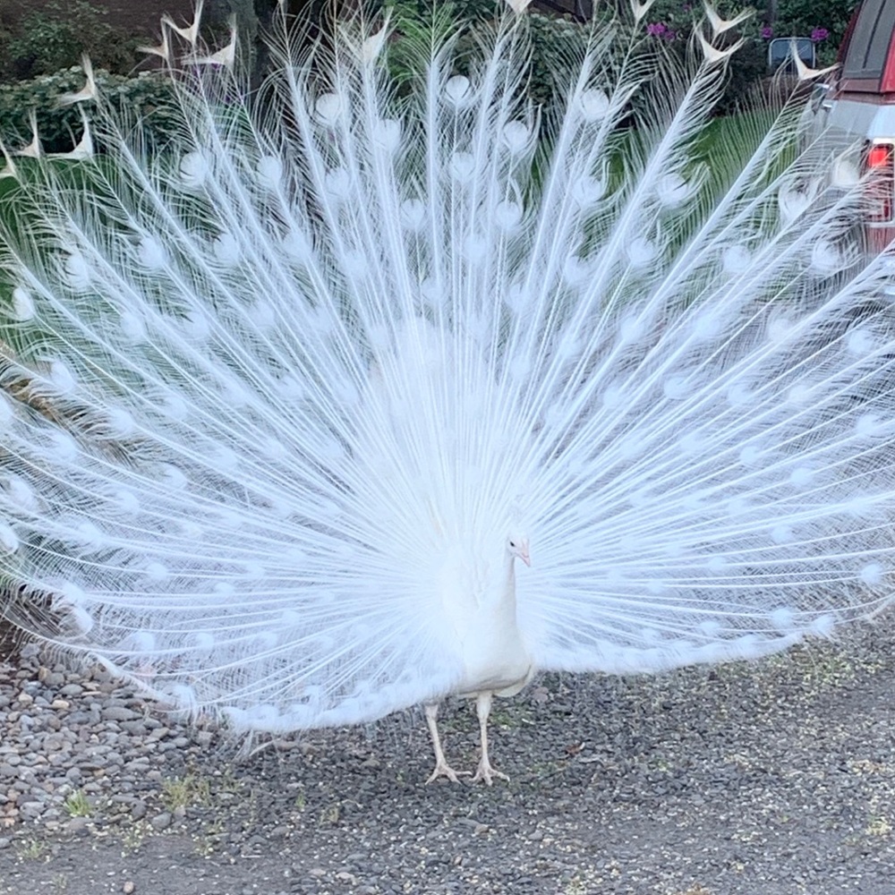 Meet your Posher, Keila